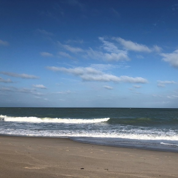 Meet your Posher, Catharine - Picture 1 of 1